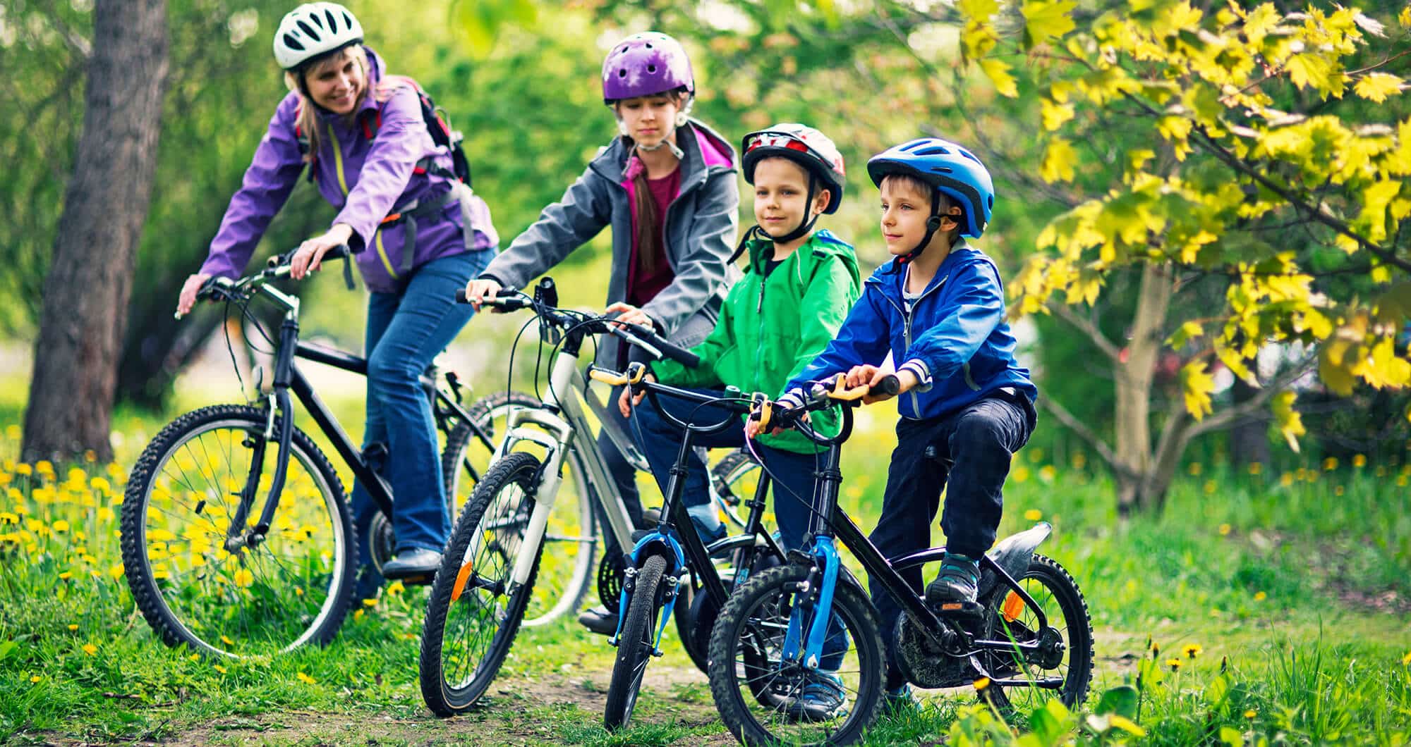 Family-bikes_small-optomized