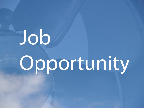 Job Vacancies In Our IT Team