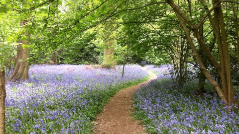 If you live in Coventry and are looking for some cheaper ways to entertain your family this summer, here are some cheap or free ideas for days out in and around the city.
