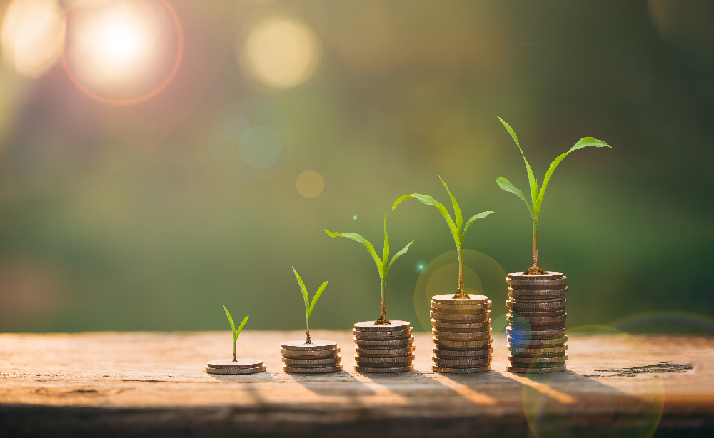Financial Planning Guide For Beginners