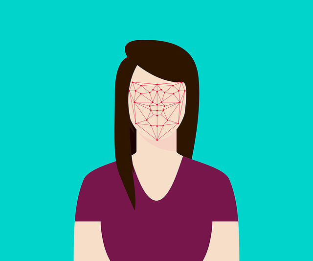 Facial identification illustration